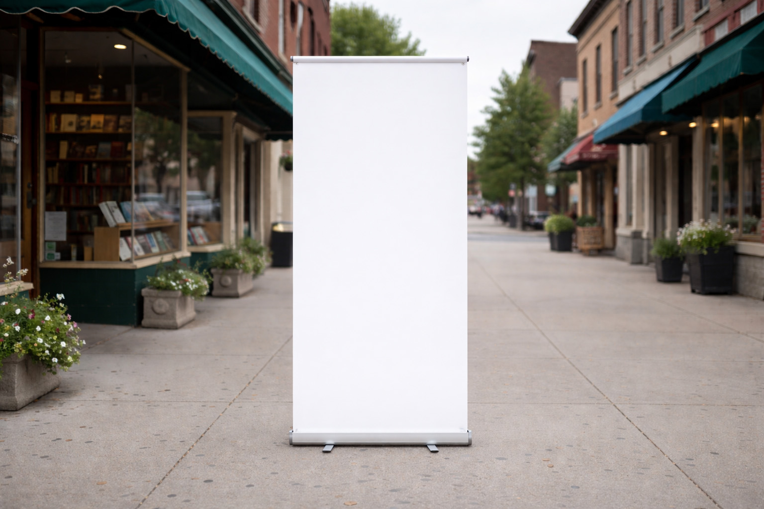 Display Mockup